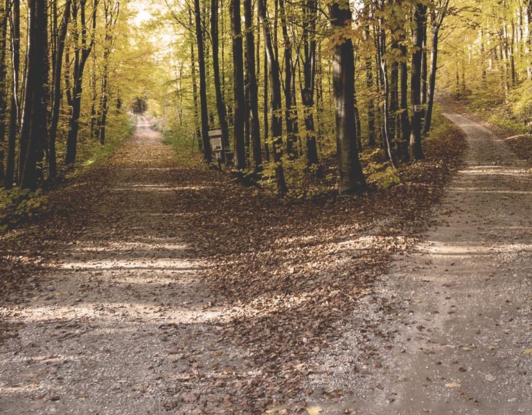 Experiencing Good Life: How Do I Discern God’s Will for My Life? | A Biblical Guide to Unlocking Divine Direction